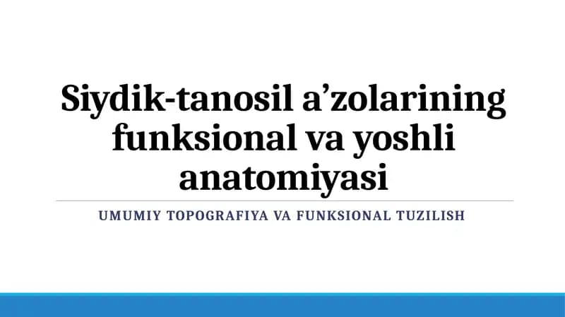 Siydik-tanosila'zolarining funksional vayoshlianatomiyasi