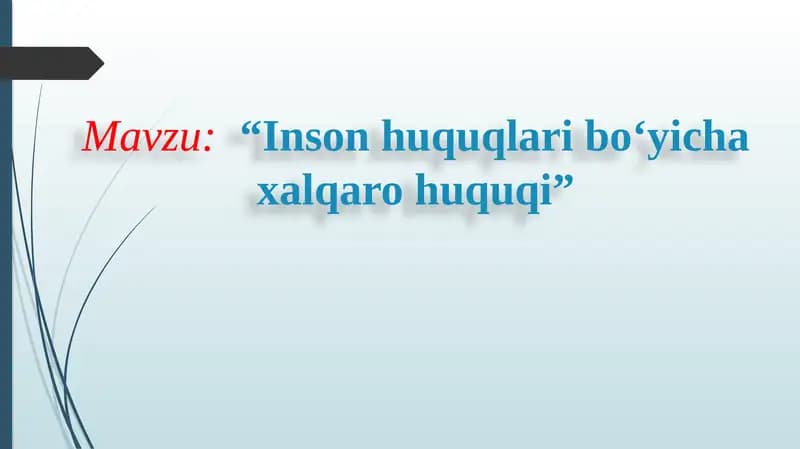 Inson huquqlari boʻyicha xalqaro huquqi