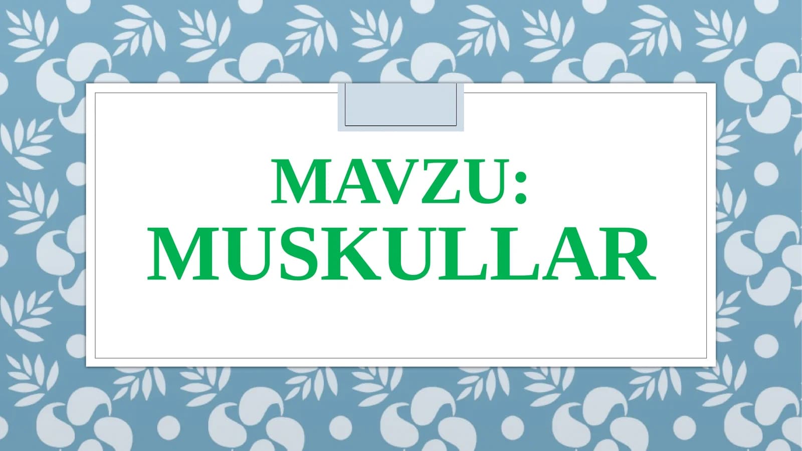 Muskullar