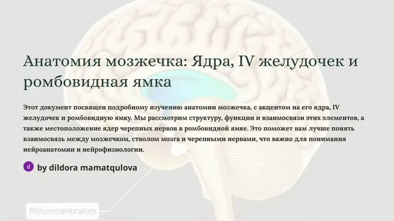 Анатомия мозжечка: Ядра, IV желудочек и ромбовидная ямка