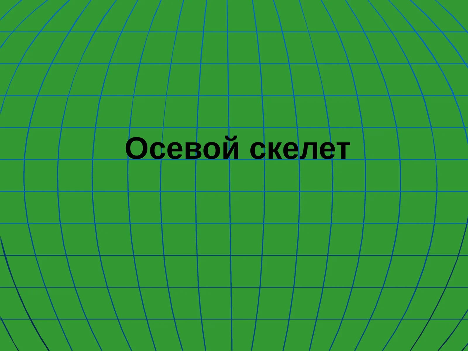Осевой скелет