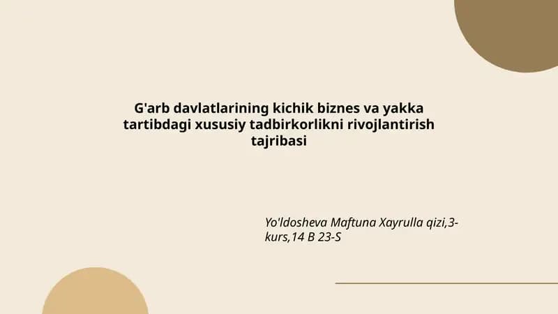 G'arb davlatlarining kichik biznes va yakka tartibdagi xususiy tadbirkorlikni rivojlantirish tajribasi