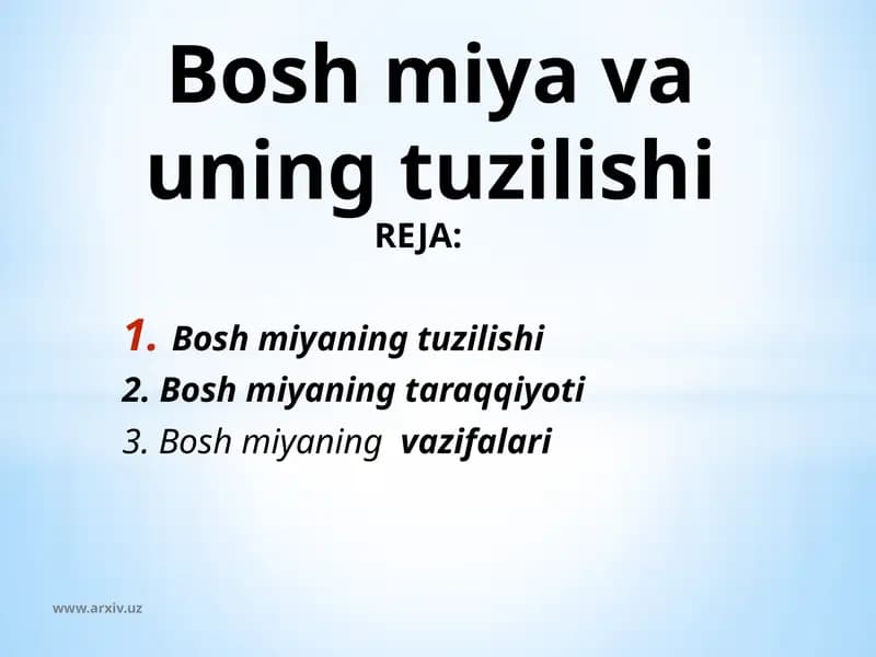 Boshmiyavauningtuzilishi