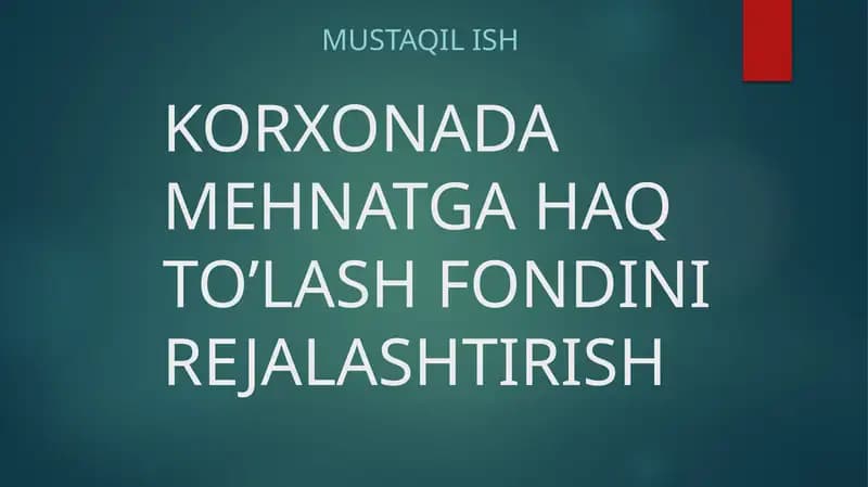 Korxonada mehnatga haq to'lash fondini rejalashtirish, Mustaqil ish reja