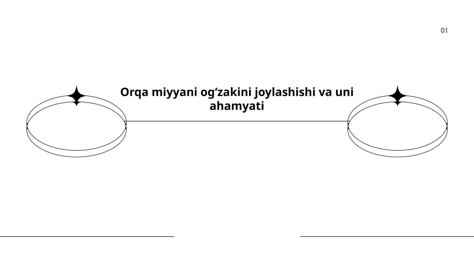 Orqa miyyani ogʻzagining anatomik joylashishi bosh miya va umurtqa pogʻonasi kontekstida
