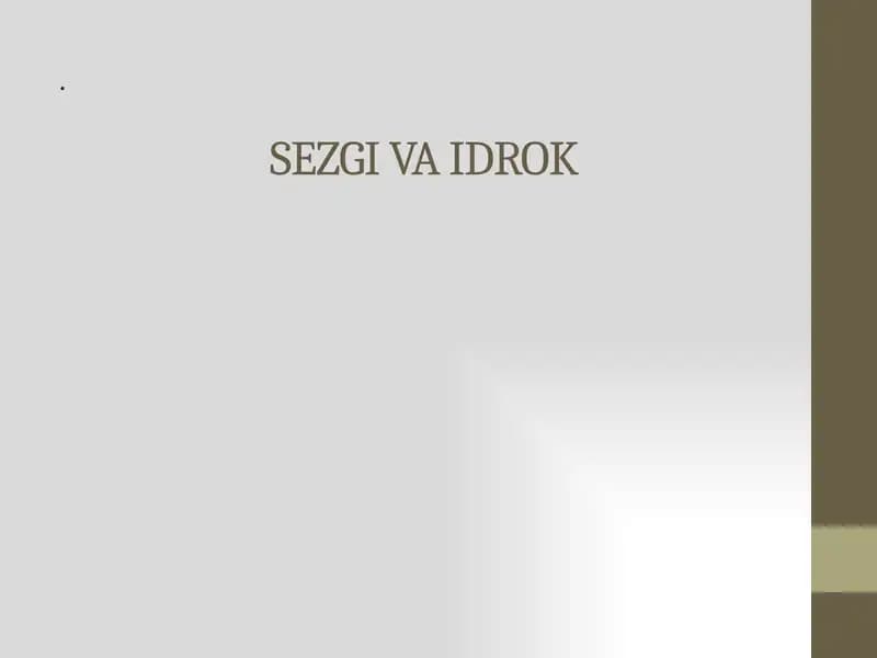 Sezgi va idrok