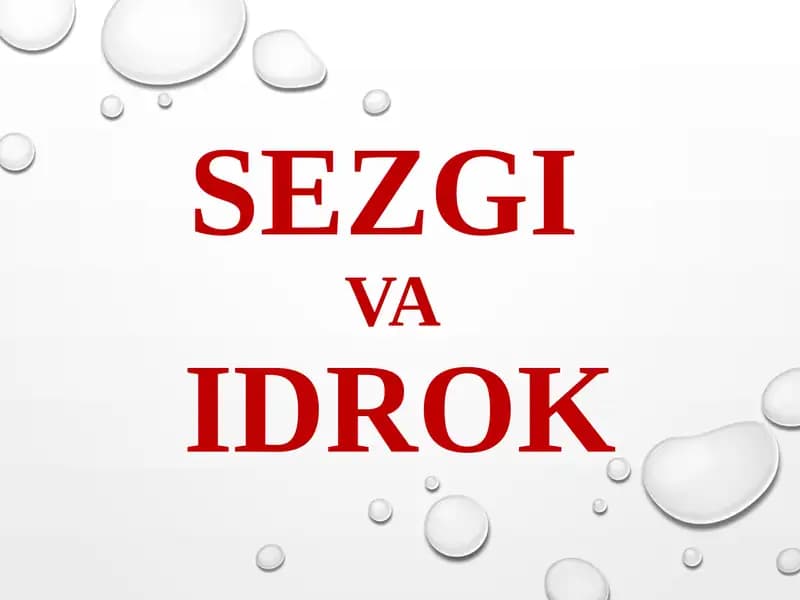 SEZGI VA IDROK