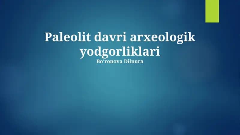 Paleolit davri arxeologik yodgorliklari