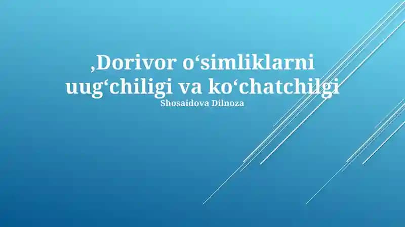 Dorivor oʻsimliklarni uugʻchiligi va koʻchatchilgi