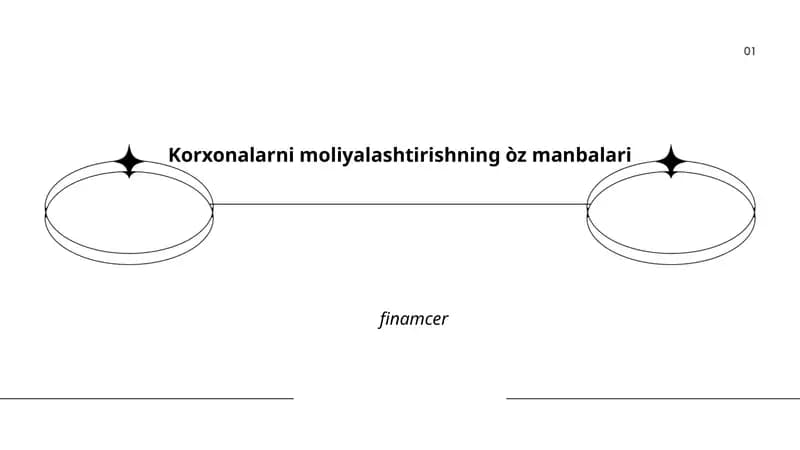 Korxonalarni moliyalashtirishning òz manbalari
