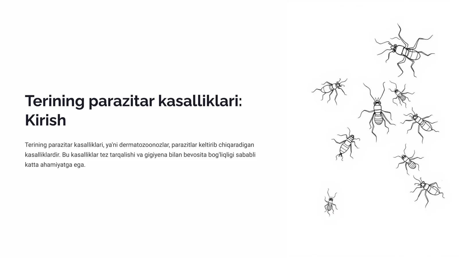 Terining parazitar kasalliklari: Kirish