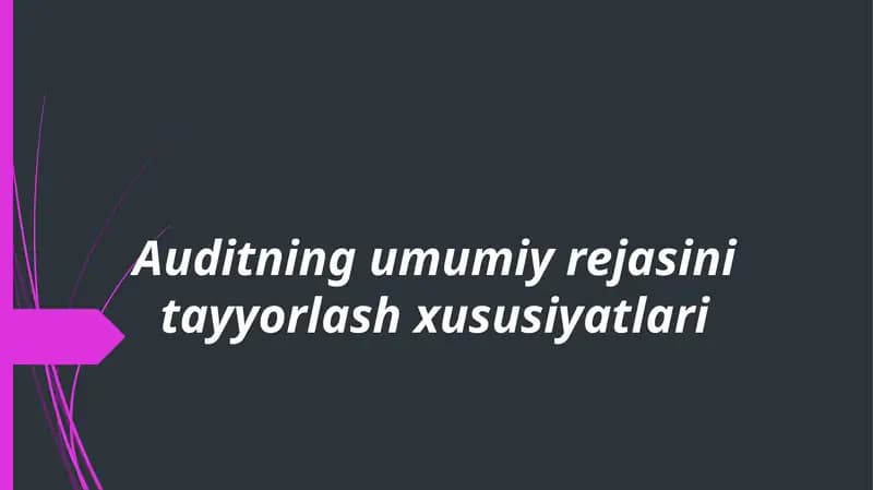 Auditning umumiy rejasini tayyorlash xususiyatlari