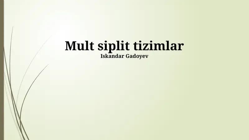 Mult siplit tizimlar