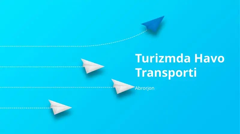 Turizmda Havo Transporti