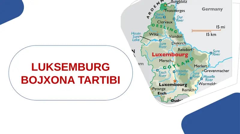 Luksemburg Bojxona Tartibi
