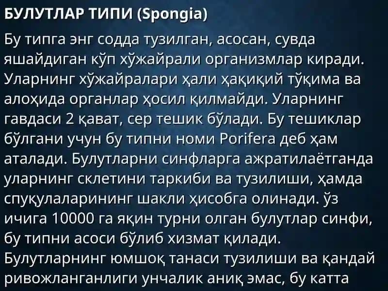 БУЛУТЛАР ТИПИ (Spongia)