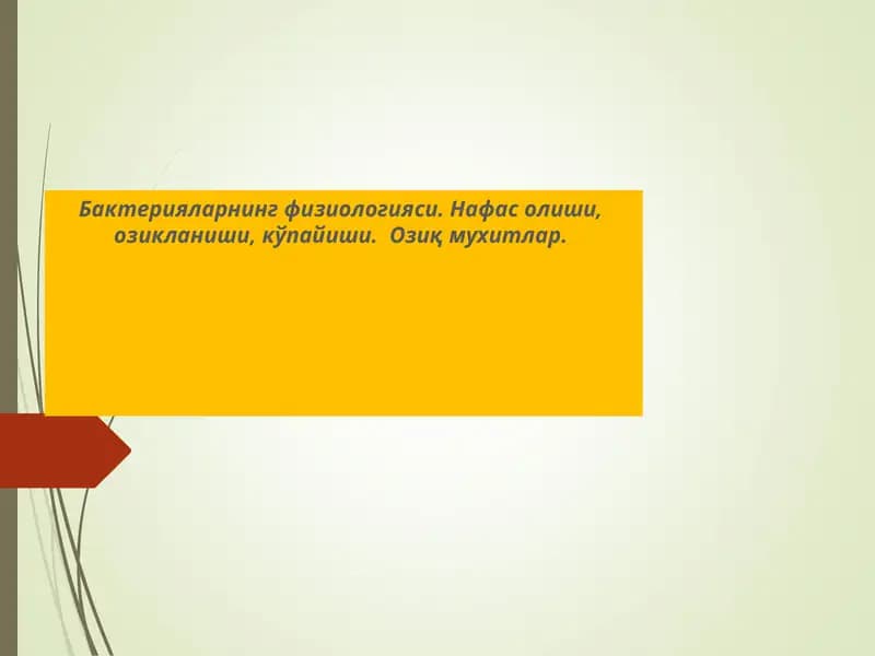 Бактерияларнингфизиологияси