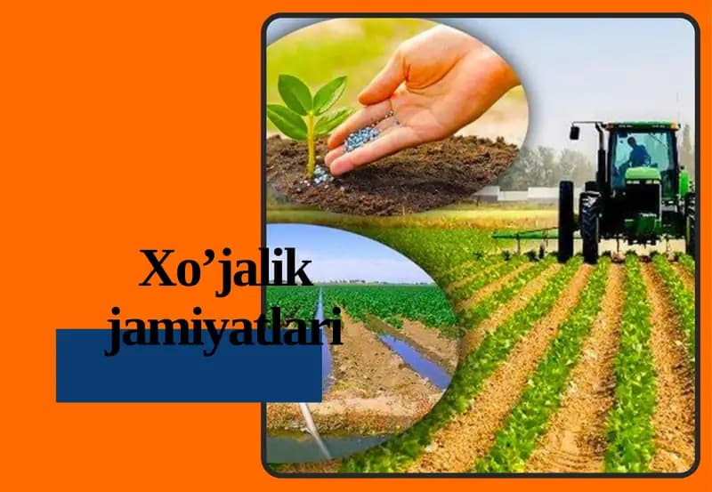 Xo‘jalik jamiyatlari