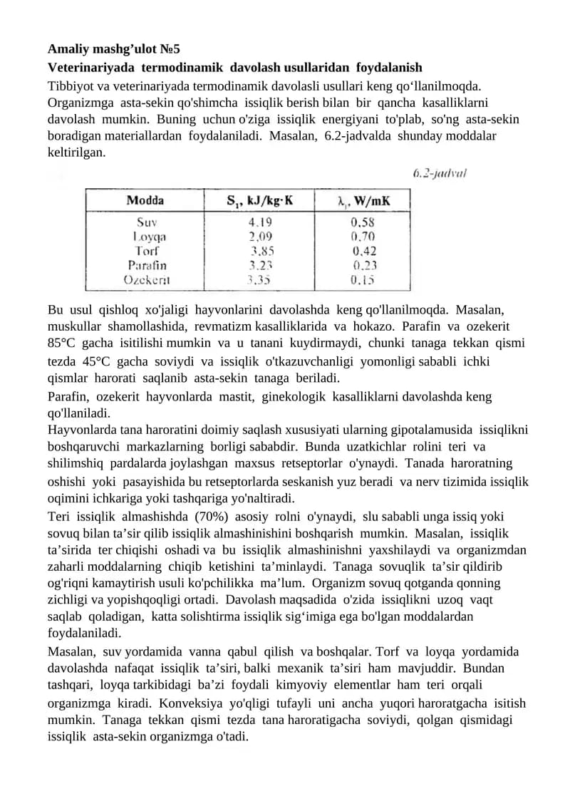 Amaliy mashg’ulot №5