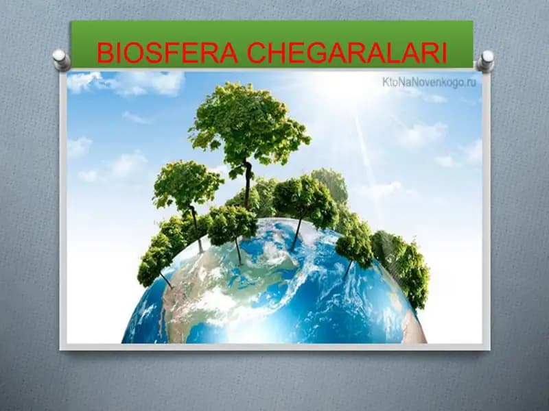 BIOSFERA CHEGARALARI