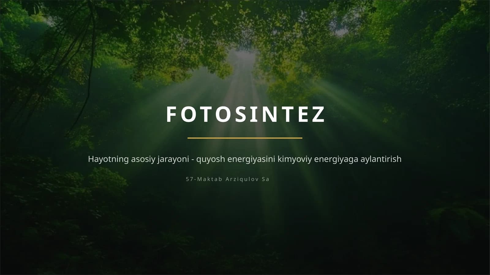 FOTOSINTEZ — TABIATNING ENG BUYUK “ZAVODI”