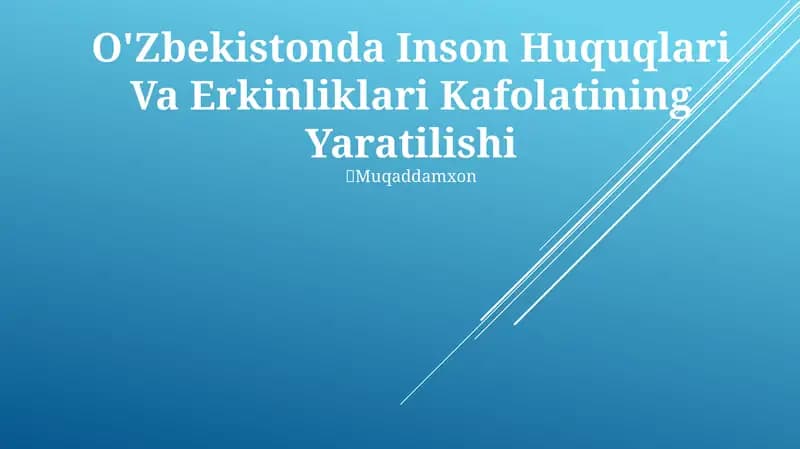 Inson Huquqlari Va Erkinliklari Kafolatining Yaratilishi