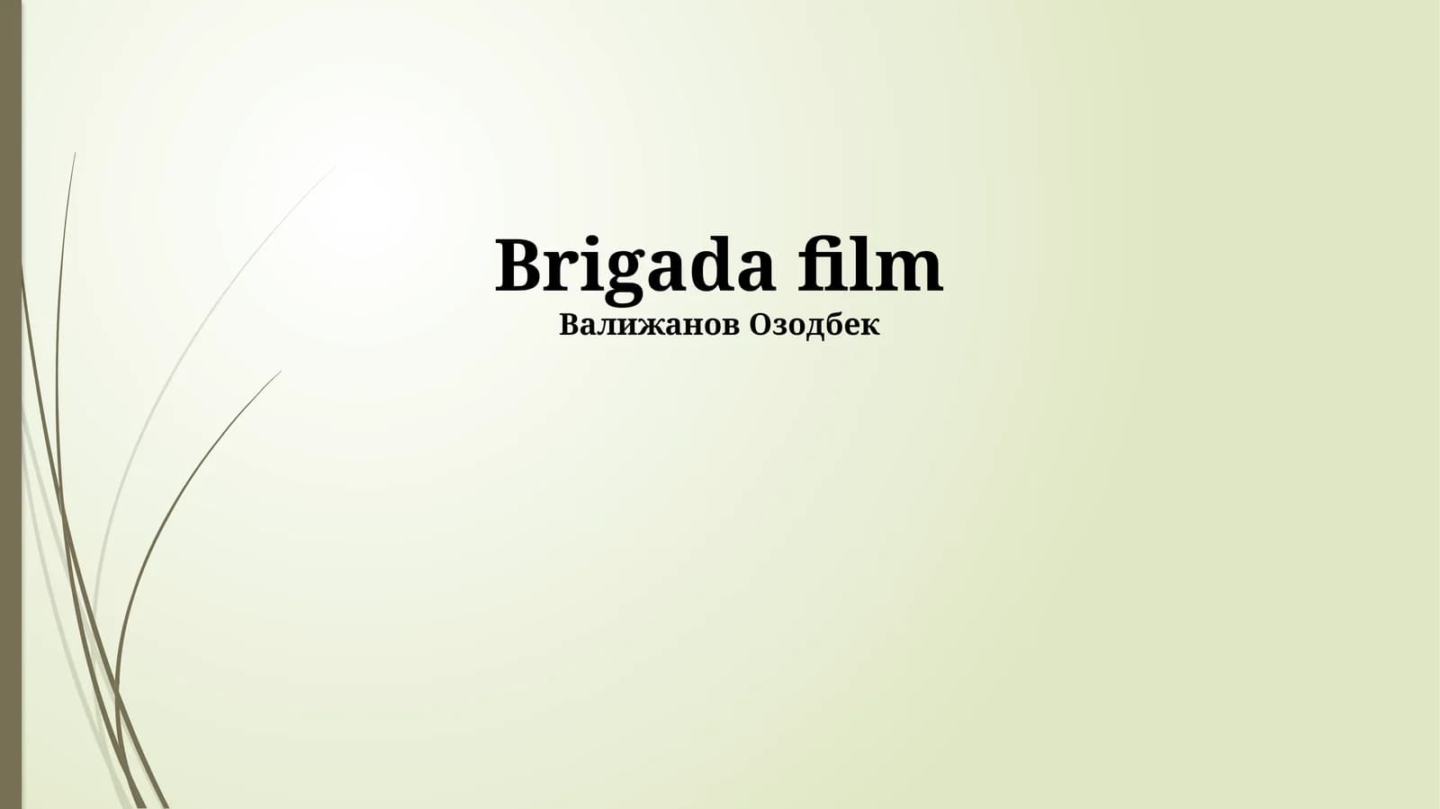 Brigada film