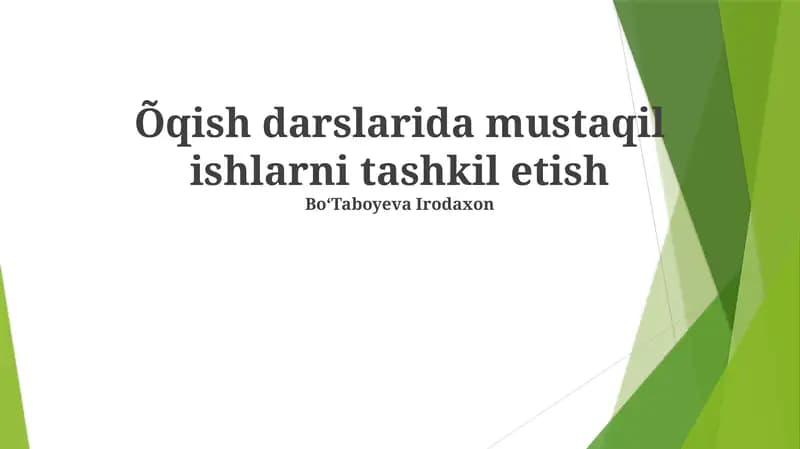 Mustaqil ishlarni tashkil etish