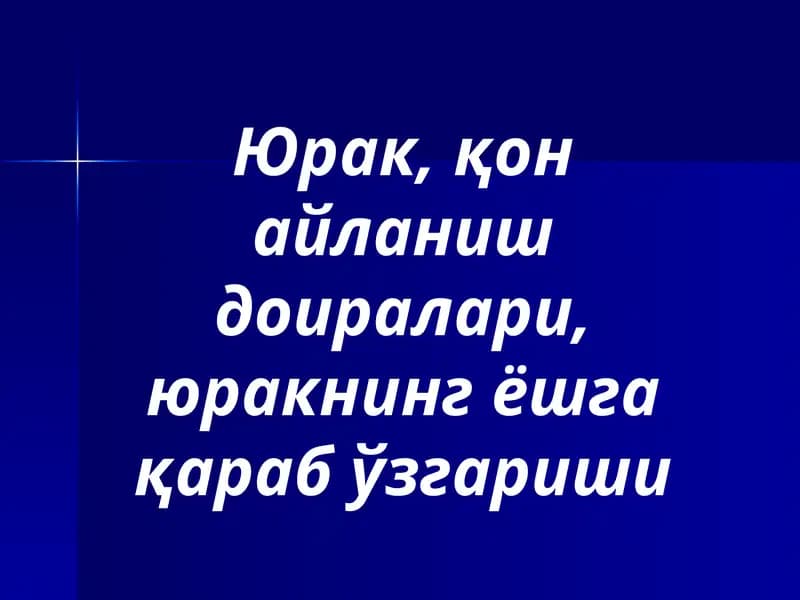 Юрак