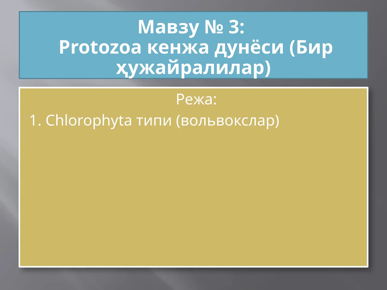 Protozoa кенжа дунёси (Бир ҳужайралилар)