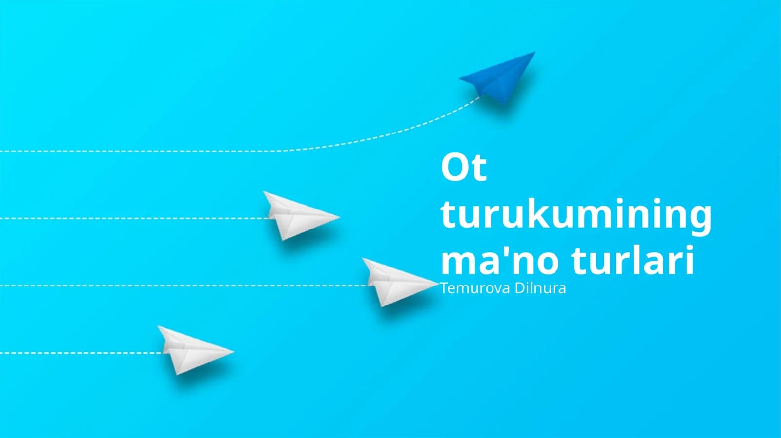Ot turukumining ma'no turlari