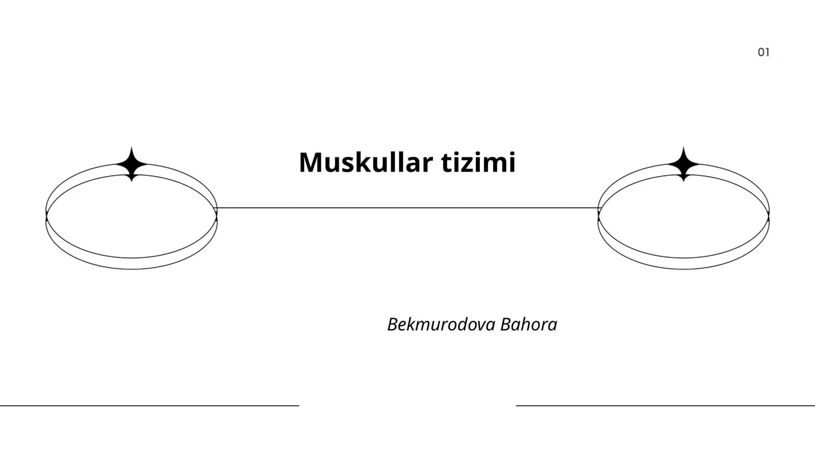 Muskullar tizimi