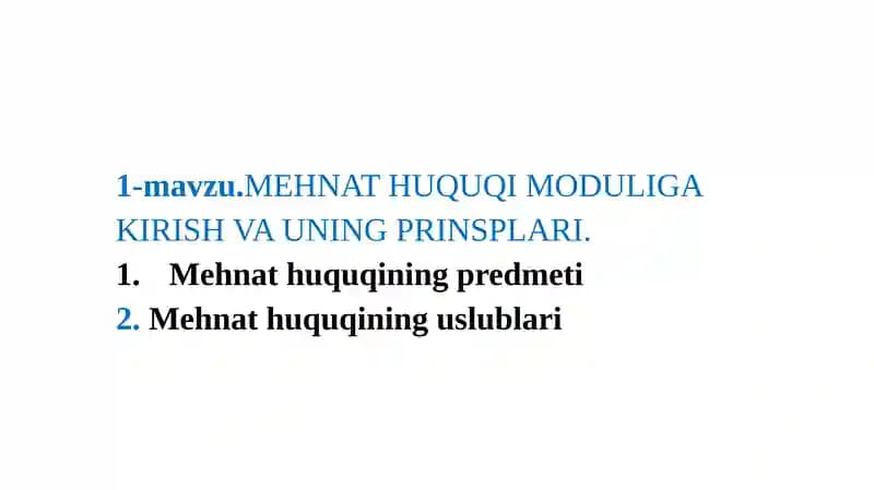 MEHNAT HUQUQI MODULIGA KIRISH VA UNING PRINSPLARI