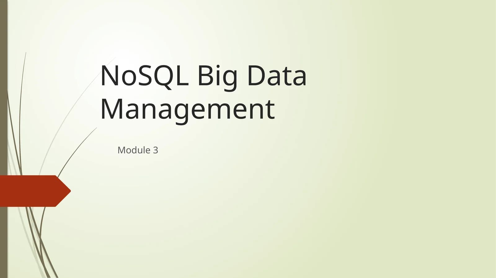 NoSQL Big Data Management