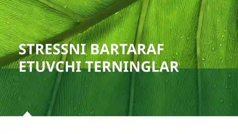 Stressnibartaraf etuvchiterninglar