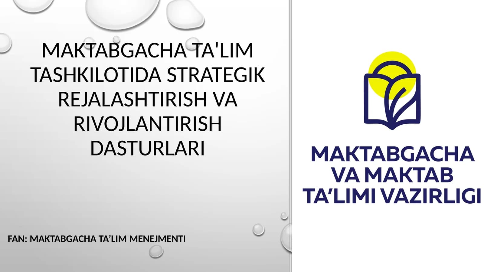 Maktabgacha ta'lim tashkilotida strategik rejalashtirish va rivojlantirish dasturlari