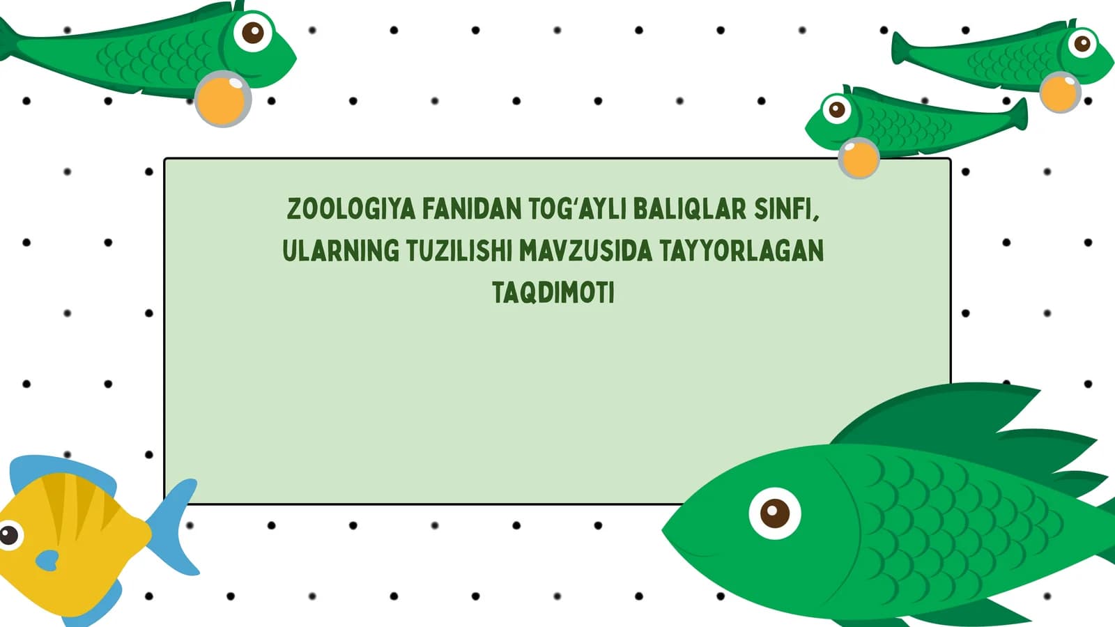 Togʻayli baliqlar sinfi taqdimoti