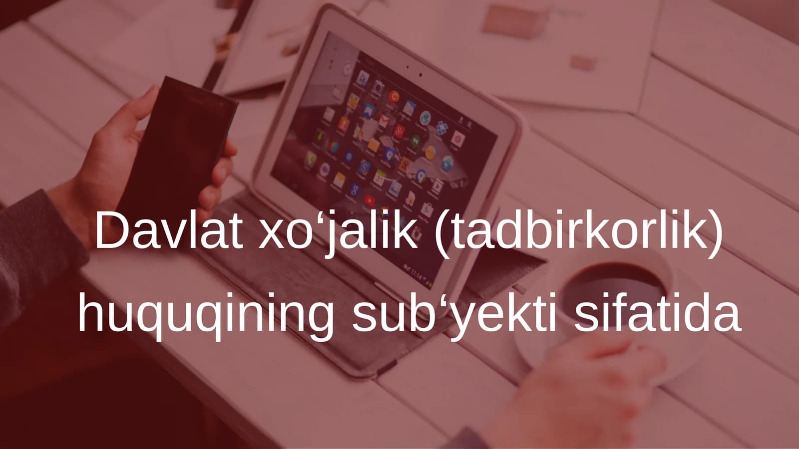 Davlat xo‘jalik (tadbirkorlik) huquqining sub‘yekti sifatida