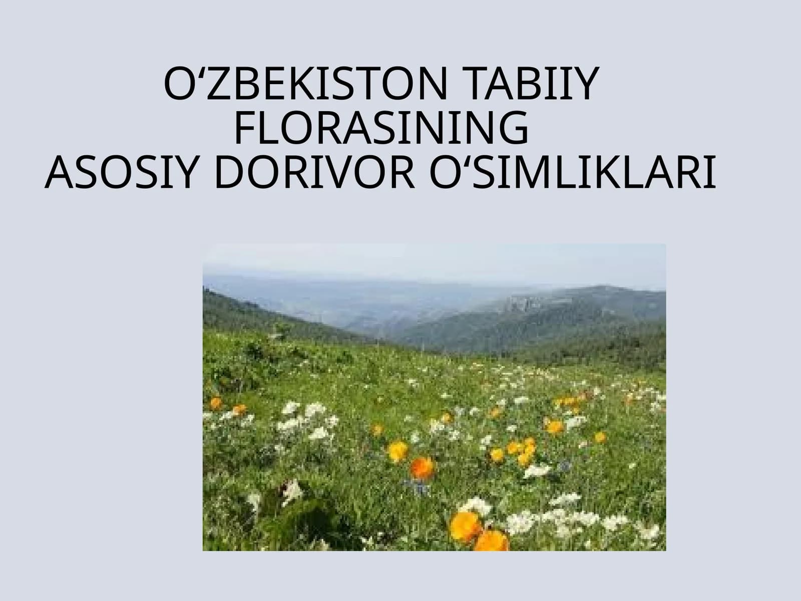 O‘ZBEKISTON TABIIY FLORASININGASOSIY DORIVOR O‘SIMLIKLARI