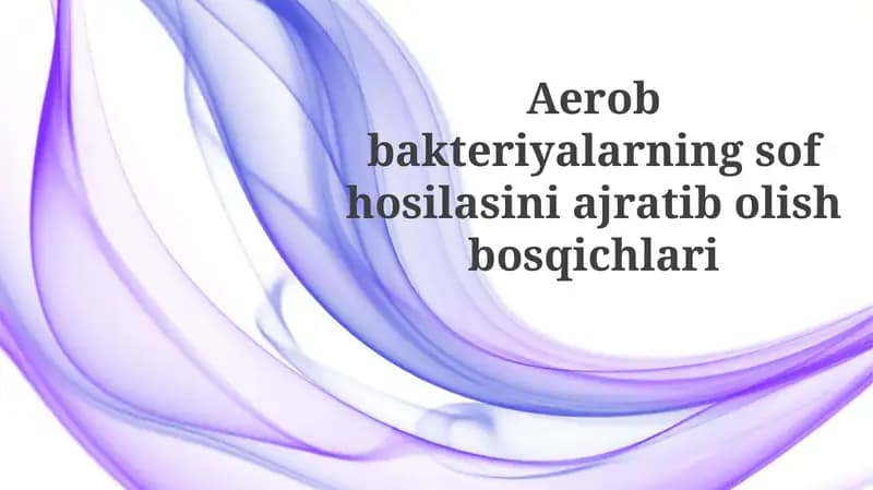 Aerobbakteriyalarningsofhosilasiniajratibolishbosqichlari