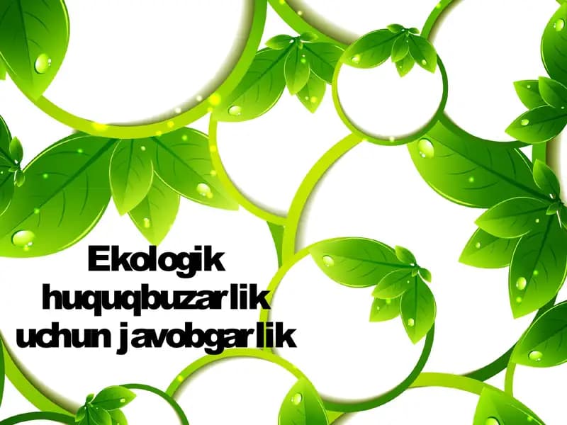 Ekologik huquqbuzarlik uchun javobgarlik
