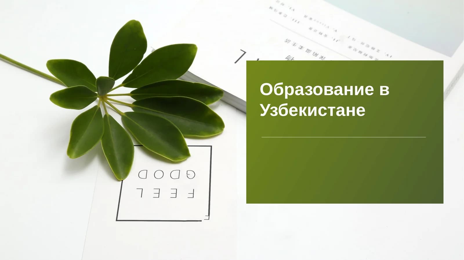 Образование в Узбекистане