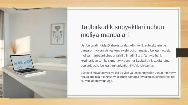 Tadbirkorlik subyektlari uchun moliya manbalari slayd