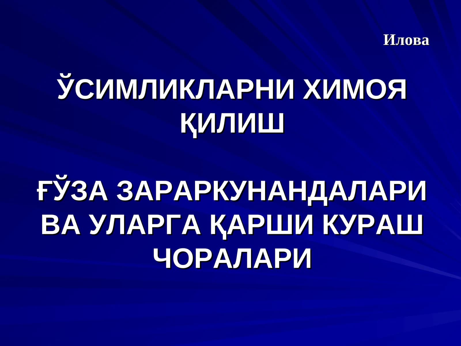 КУЗГИ ТУНЛАМ (AGROTIS SEGETUM SCHIFF)