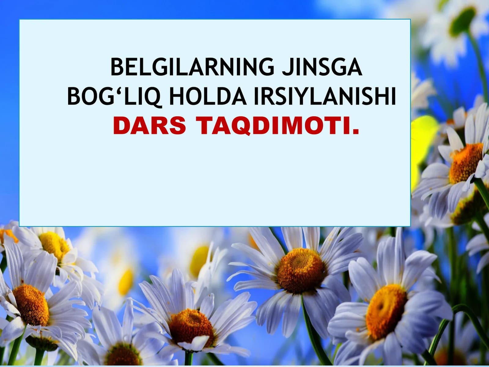 JINSGA BOG‘LIQ HOLDA IRSIYLANISHIDARS TAQDIMOTI
