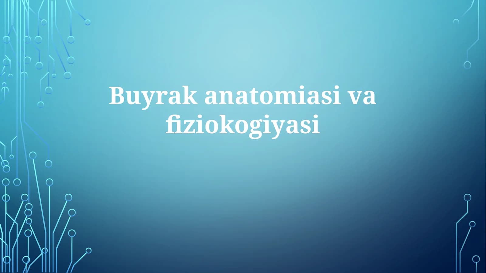 Buyrakanatomiasivafiziokogiyasi