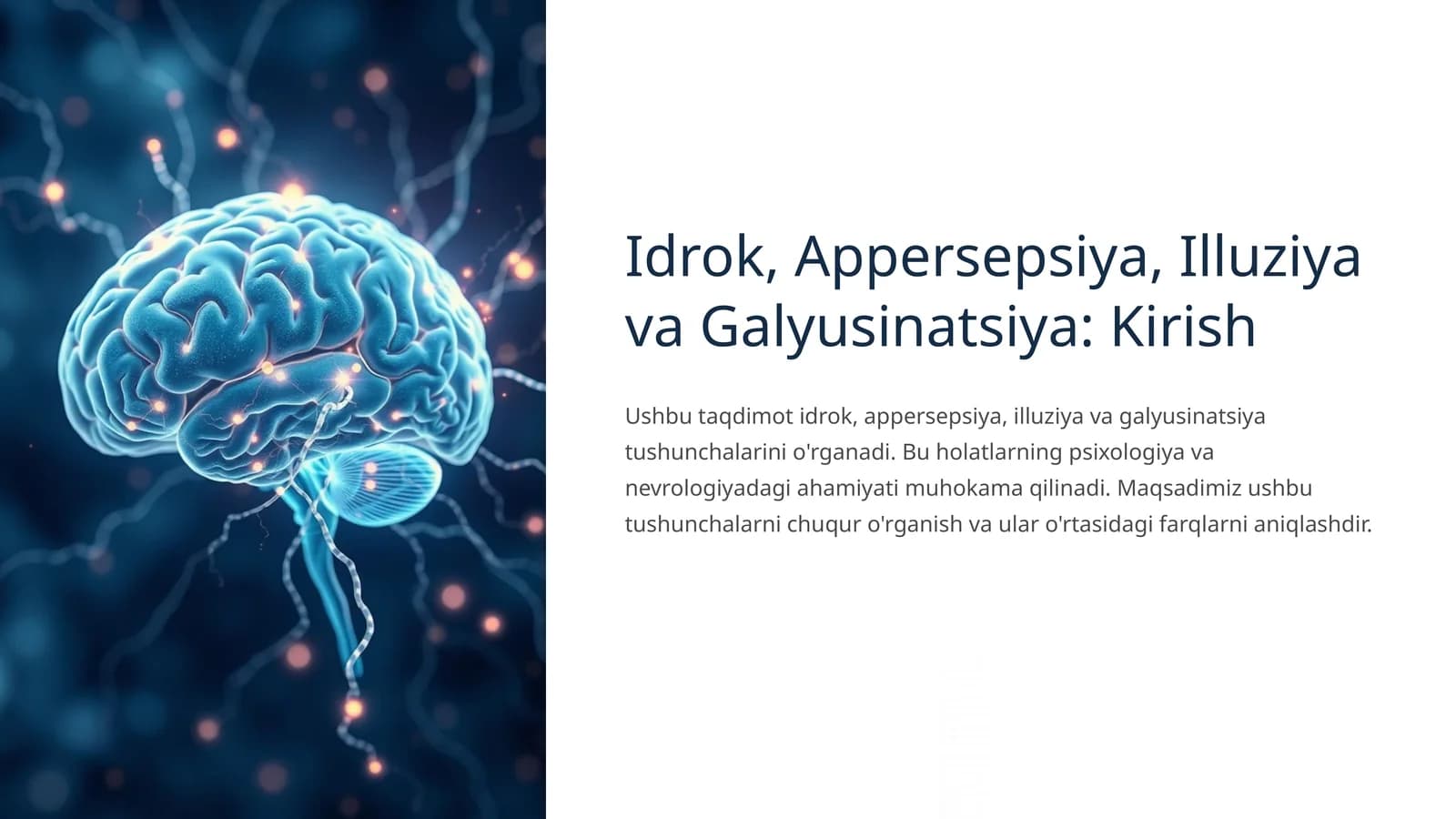 Idrok, Appersepsiya, Illuziya va Galyusinatsiya: Kirish