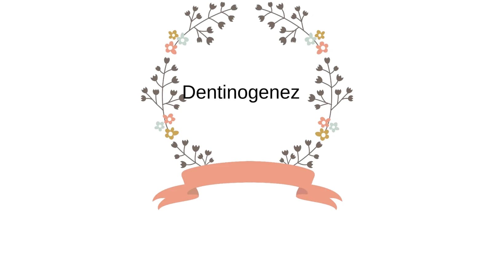 Dentinogenez