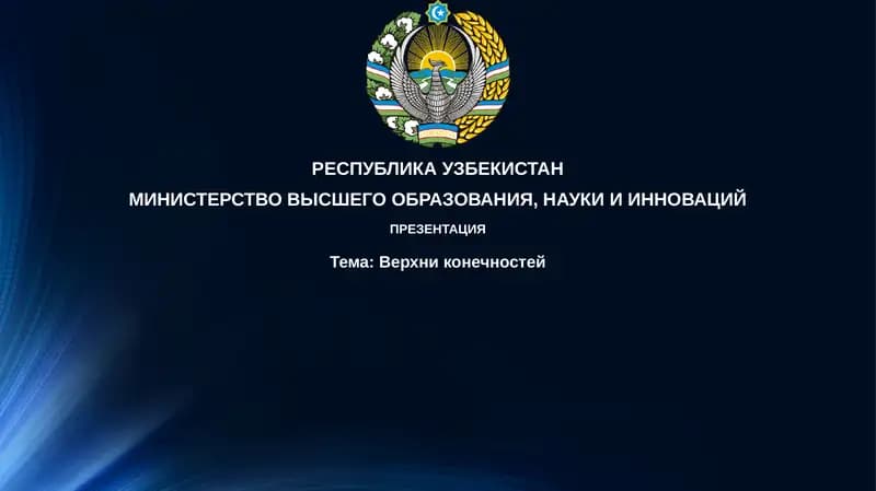 Верхние конечности