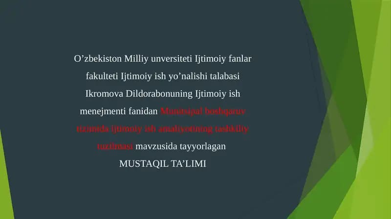 Munitsipal boshqaruv tizimida ijtimoiy ish amaliyotining tashkiliy tuzilmasi